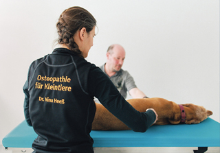 Osteopathie